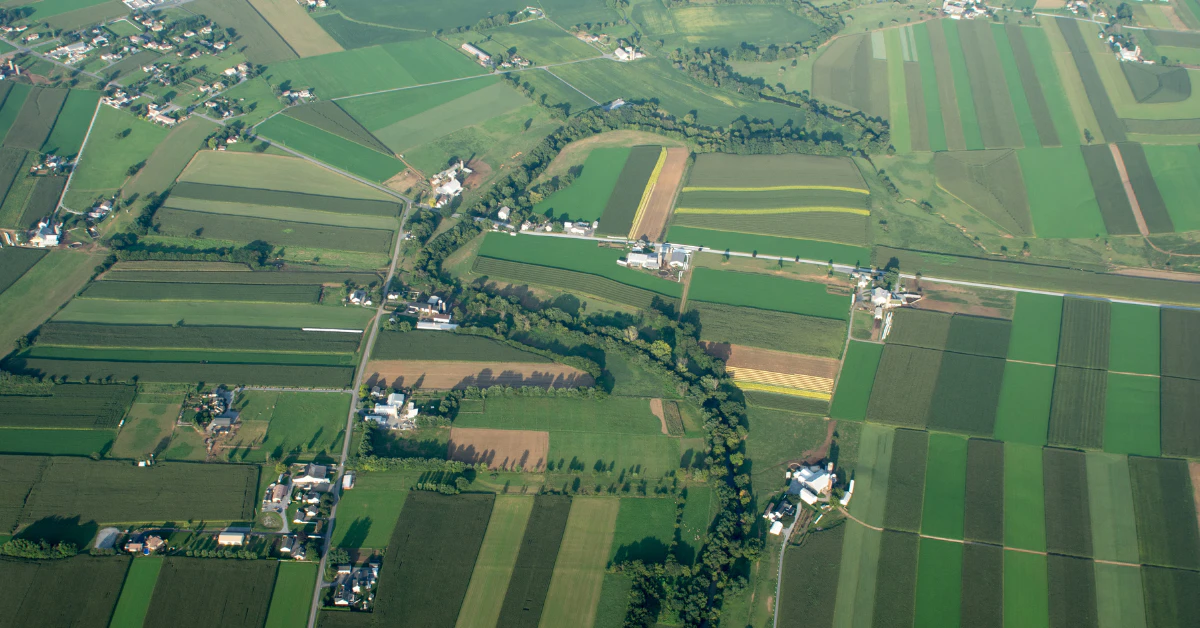 Aerial view of green farmland divided into patchwork fields