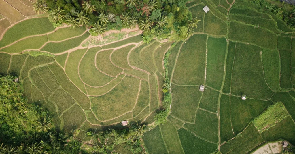 Aerial view of terraced green farmland and land plots