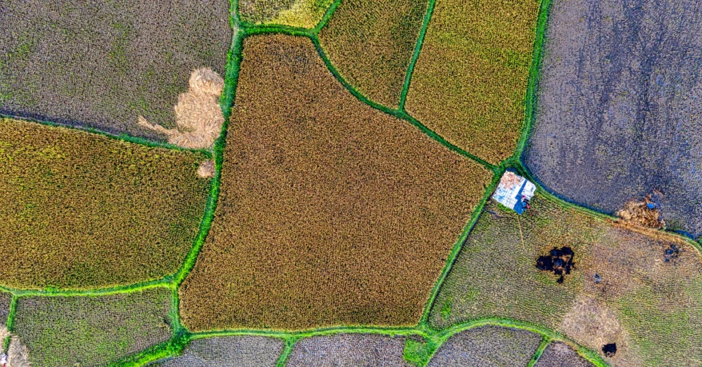 Land survey map showing acre measurements